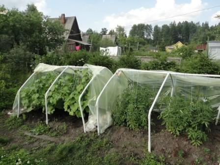 Парник под пленку Удобный мини Парник Удобный мини