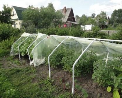 Парник удобный мини из ПВХ Парник под пленку и спанонд